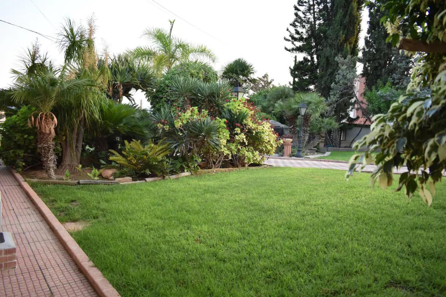 Olive Tree Apartments Λεμεσός Εξωτερικό φωτογραφία